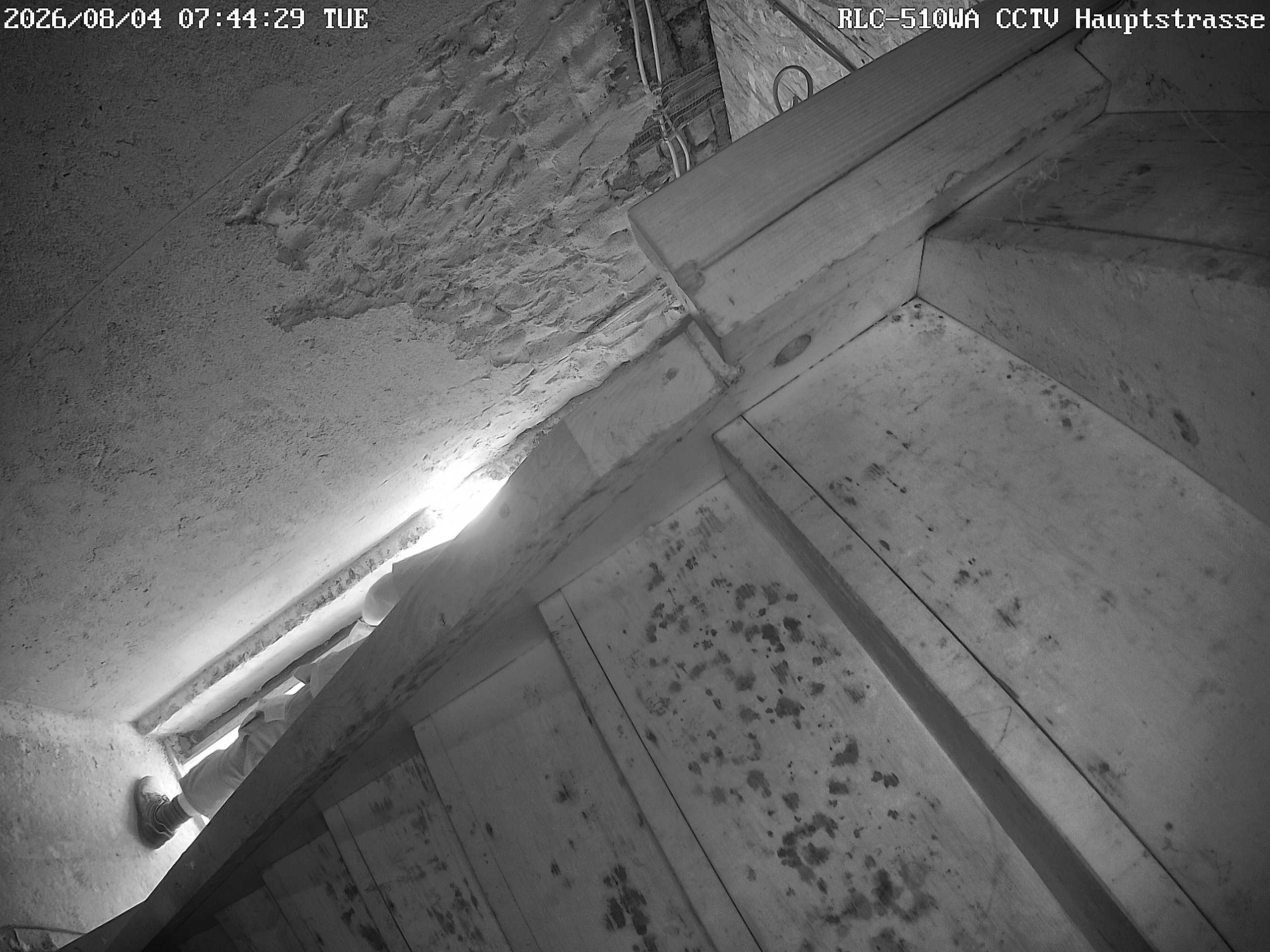 RLC-510WA CCTV Hauptstrasse_00_20260804074429.jpg